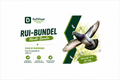 Rui-Bündel