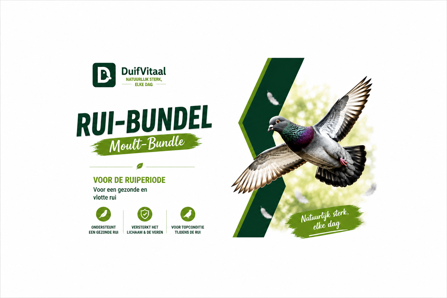Rui-Bündel