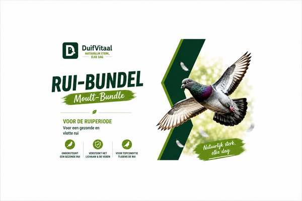 Rui-Bündel